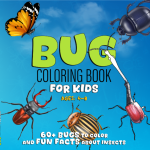 Bugs Coloring Book For Kids