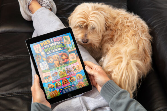 pies-i-kot respecting our pets - learn polish for children
